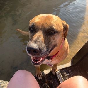 Meet your Posher, Natasha